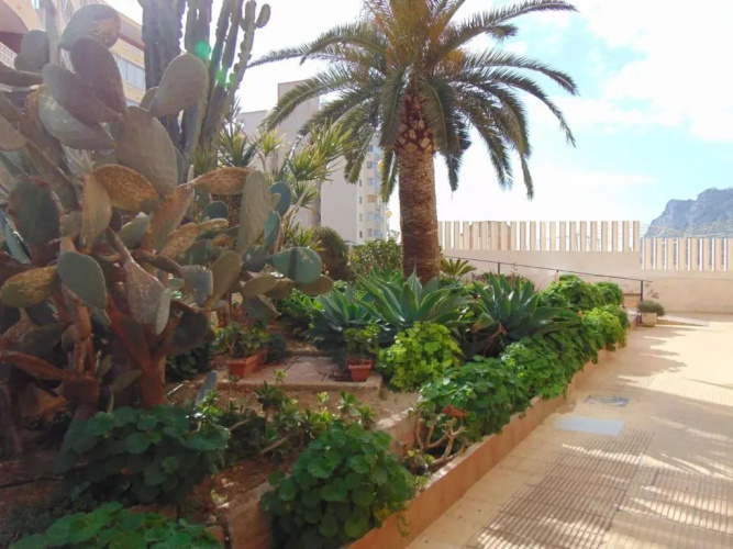 Apartamentos President 3ºd