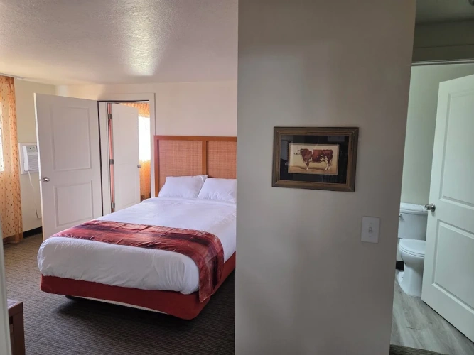 Comfort Single room