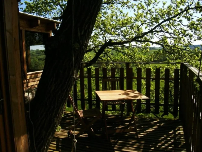 Cottage