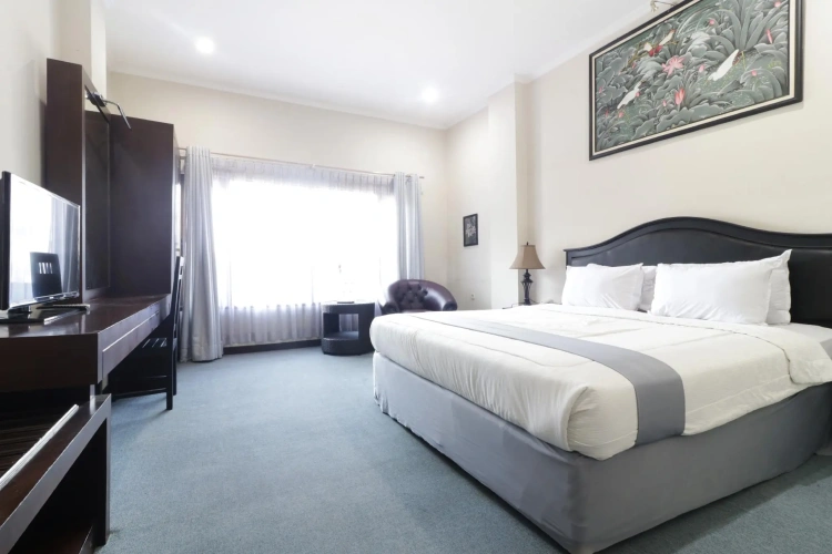 Deluxe Single room