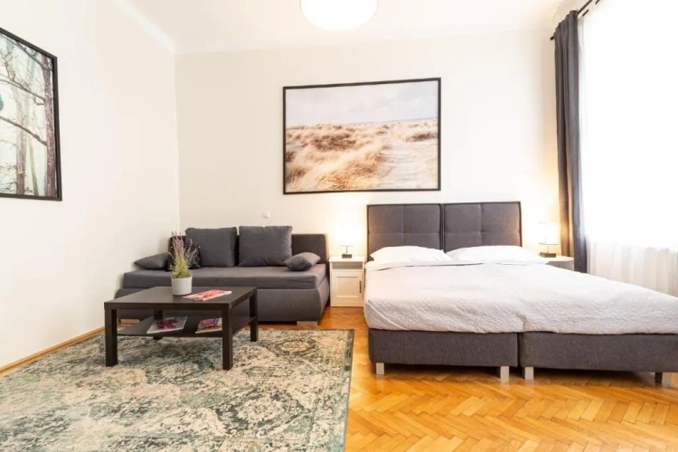 Deluxe Apartment
