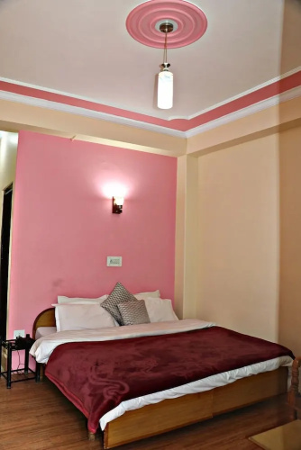 Hotel Prakash Regency Sangla