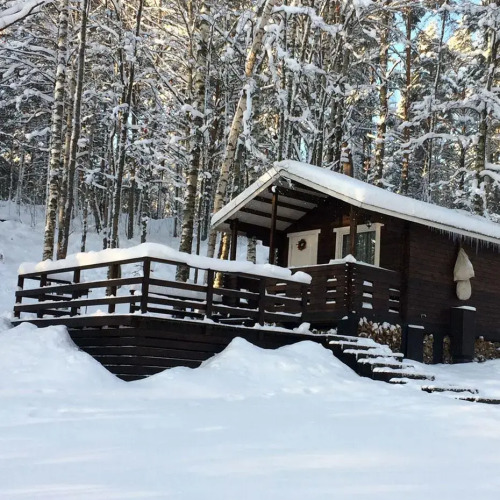 Фотография номера Коттеджа Хутор Салокюля