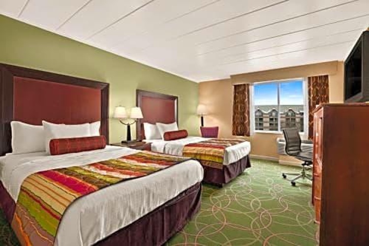 1 Bedroom Double Suite