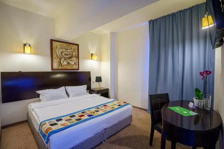 Hotel Avis