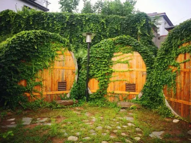 536 Yuan Hostel