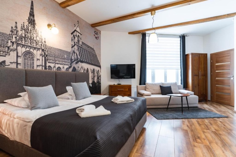 1 Bedroom Apartment