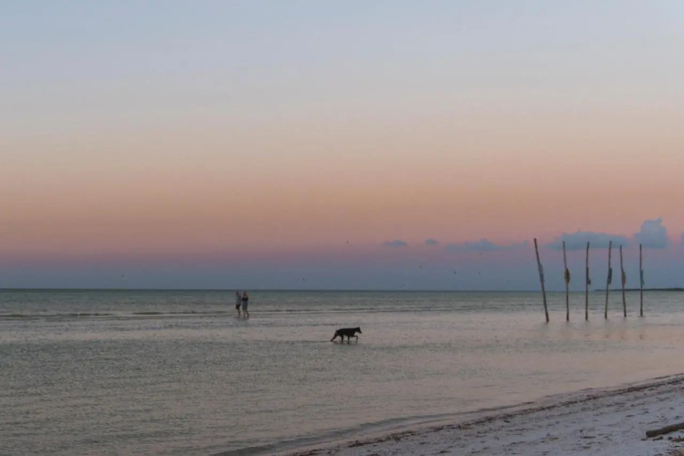 Blue Holbox photo 19