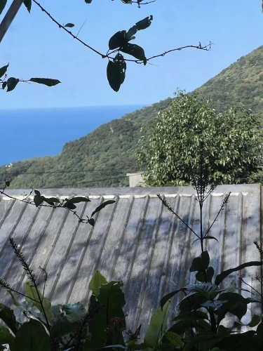 Standard Double room with mountain view