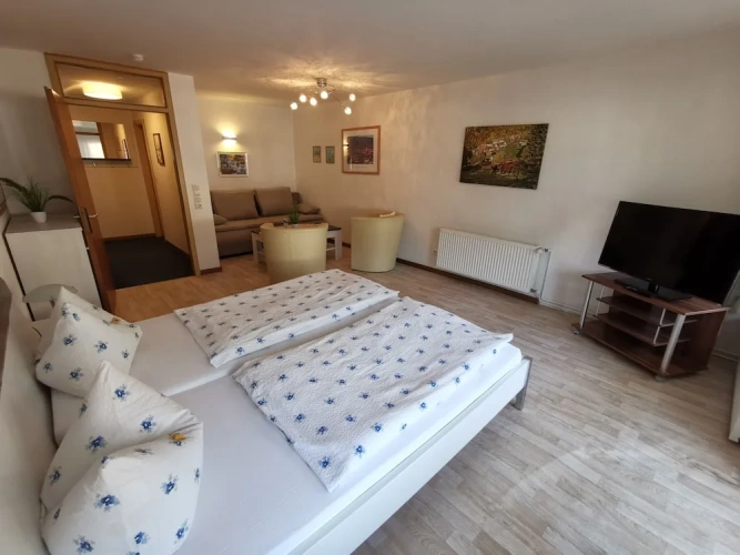 Standard Double room with mountain view