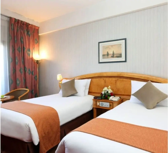Standard Double room with balcony and with mountain view
