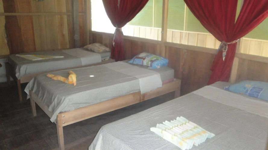 Amazon King Lodge