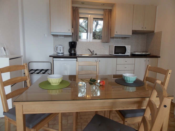1 Bedroom Apartment with sea view