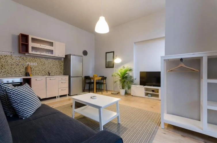 1 Bedroom Apartment