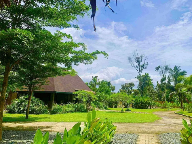 The Bali Farm