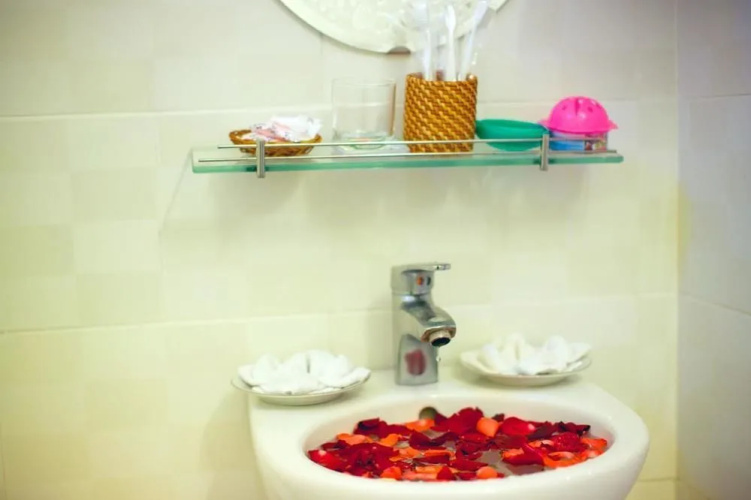 Plum Tree Homestay