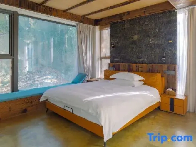 Duplex Suite