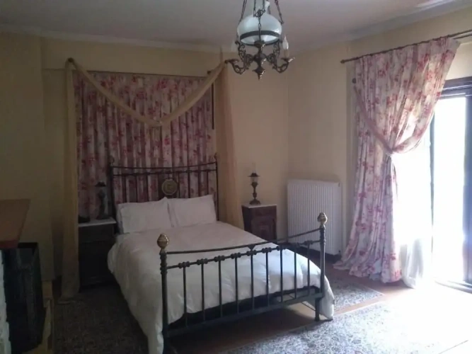 Standard Double room with balcony and with mountain view