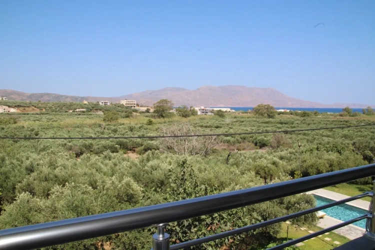 Economy Twin room with balcony and with pool view