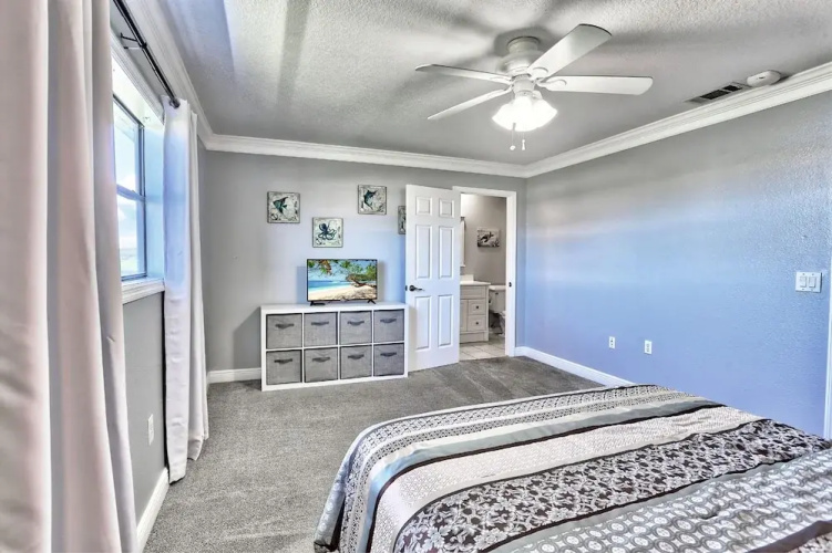 Sea Shell 28
