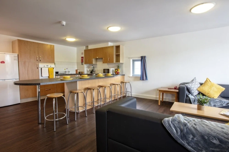 Economy Apartment