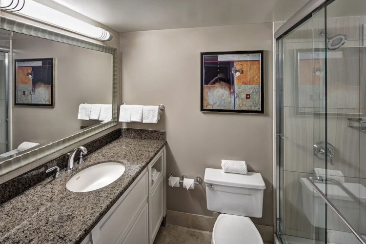 1 Bedroom Suite