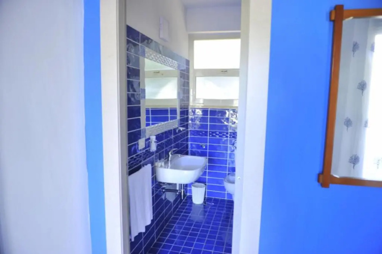 Apartment- Type D