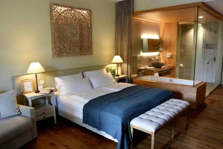 Deluxe Double room with garden view