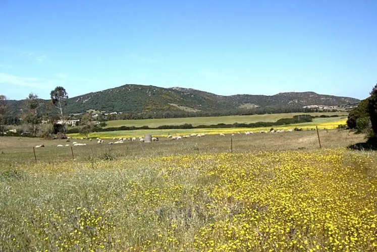 B&B Le Vele Teulada