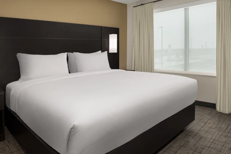 1 Bedroom Suite