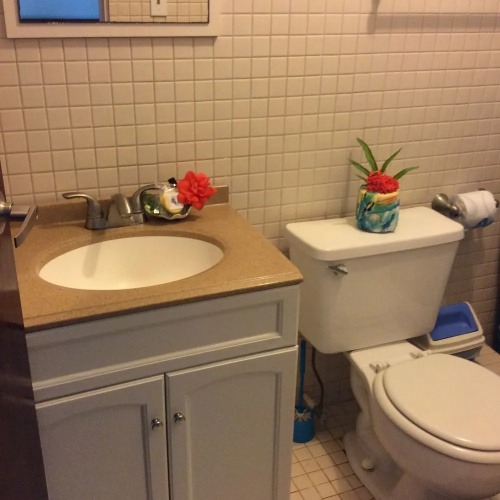 Pacific Treelodge Resort