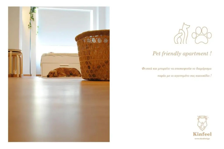 Kinfeels' downtown apartment B2