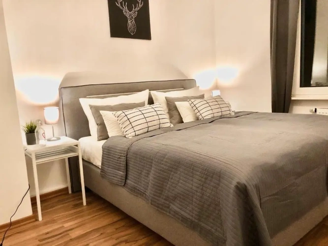 1 Bedroom Apartment