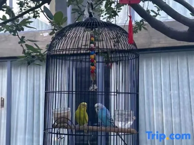 Big Beauty Homestay