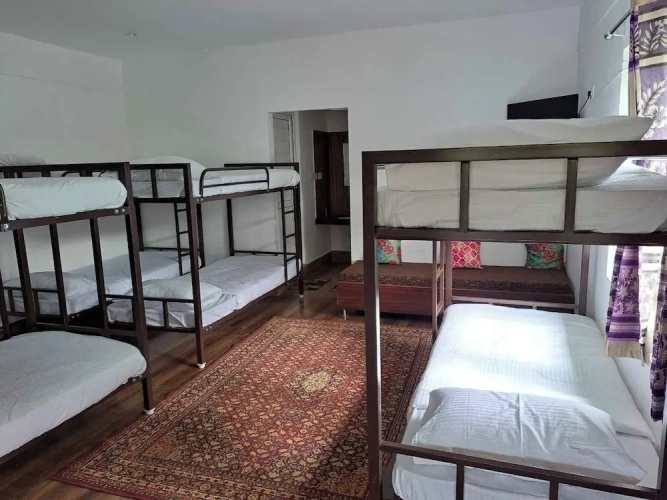 Bed in Dorm