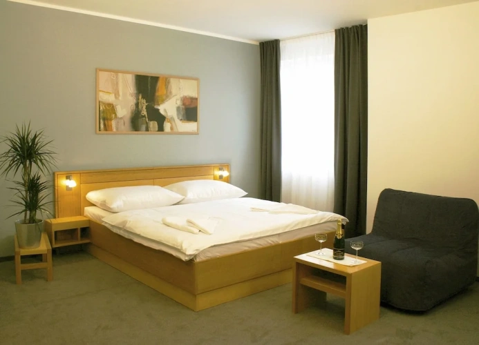 1 Bedroom Business Double room with balcony
