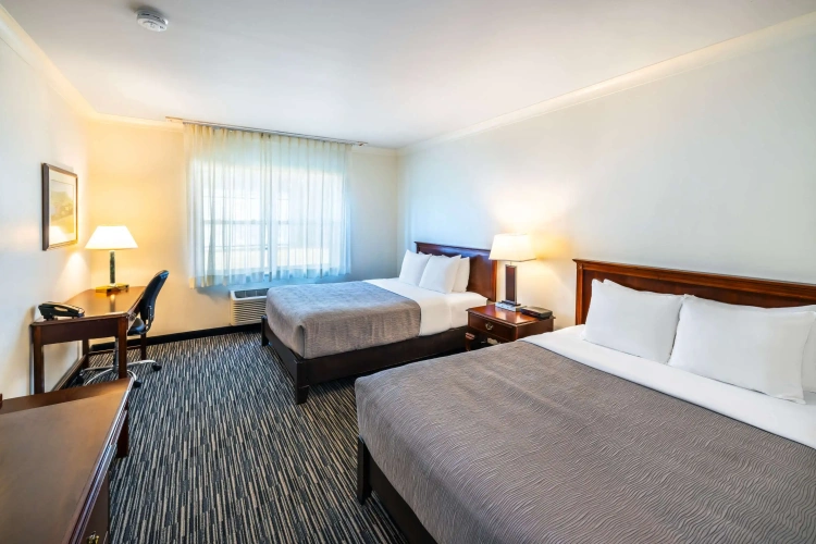Quadruple Suite