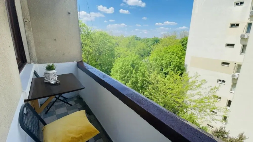Cismigiu Park View