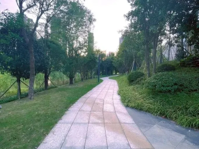 Outside