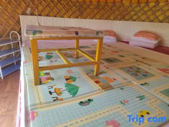Bed in Dorm