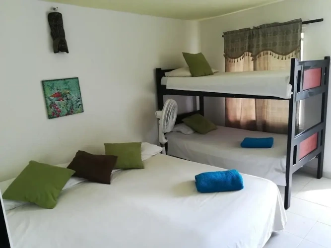 1 Bedroom Standard Single room with courtyard view