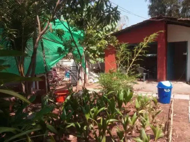 Session Haus Hostel