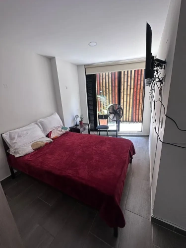 Comfort Double Basement Apartment