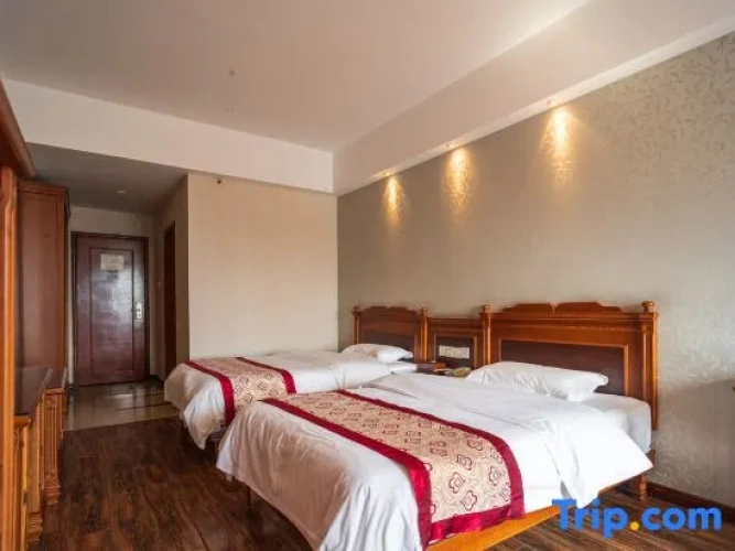 Deluxe Twin room with city view