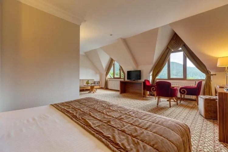 Deluxe Double room with lake view