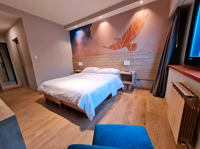 Standard Double room with lake view