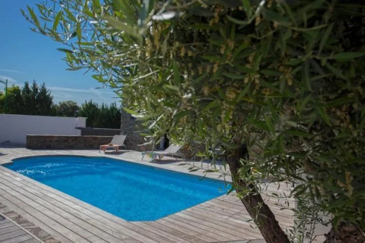 1 Bedroom Villa