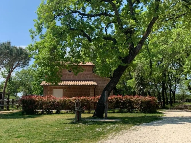 Cottage
