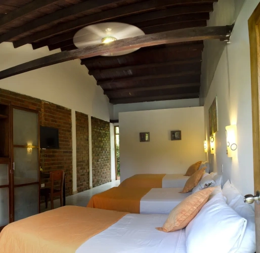 Standard Triple room