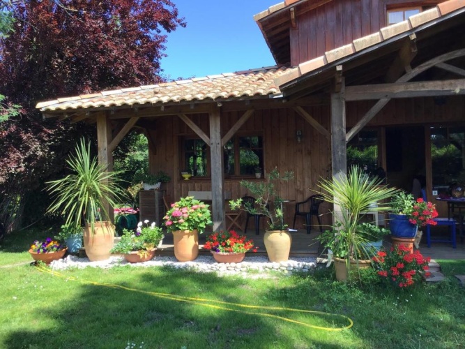 Standard Double room with garden view